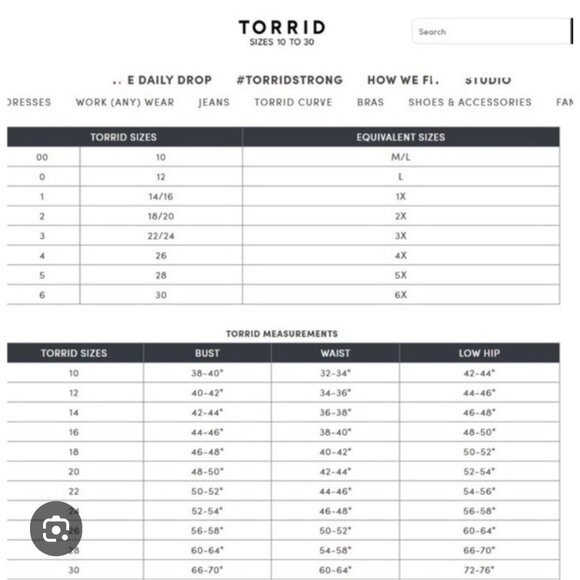 Torrid Floral Blouse - Gray and Pink - Picture 12 of 12